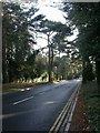 The Avenue, Branksome in BH4 8HQ