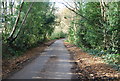 Road through the woods SE of Tunbridge Wells in TN2 5HG