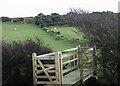 Footbridge and earthen bank below Allt Fawr in LL63 5PJ