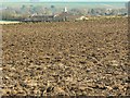 Farmland east of the White Horse Trail, west of Beckhampton in SN11 8WP