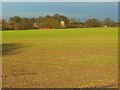 Farmland, near Yatesbury in SN11 8HS