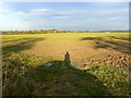Shadows on farmland, near Yatesbury in SN11 8HS