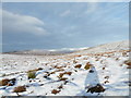 Following Argo Track towards Meall a' Bhreacraibh in IV13 7YD