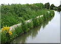 Towpath by the Oxford Canal near Ansty, Warwickshire in CV7 9QA