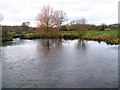 River Wylye, Steeple Langford in SP3 4NN
