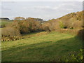 Pasture and woodland, near Kenn in EX6 7XQ