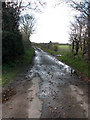 Belaugh Lane - leading to Belaugh Green in NR12 8QU