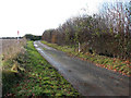 View along Belaugh Lane in NR12 8QU