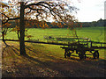 Pasture, old machinery and oak tree, Knowl Hill in RG10 9YJ