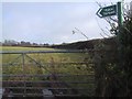 Footpath crosses the field in EX16 8JN