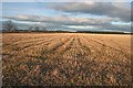 Stubble Field in IV30 8NQ