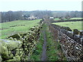 Walled Path to Ousel Hole in BD16 3JT