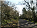 Mid section of the road from Atherington to Climping in Climping