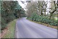 Road to Holt in BH21 6SE