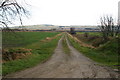 Farm track near Shandwick Mains in IV19 1QJ