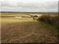 Field by lane to Tarrant Monkton in DT11 8RU