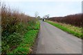 Country lane Near Sturminster Marshall in BH21 4BY