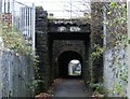 Footpath bridge under railway in CF83 2RH