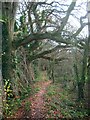 Footpath to Parkminster Farm in Cowfold, Shermanbury & West Grinstead Ward