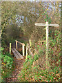 Footbridge near Old Reservoir in Cowfold, Shermanbury & West Grinstead Ward
