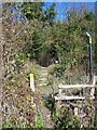 Footpath at Pilgrim's Way in ME20 7EF