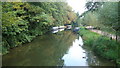 River Wey Navigation in GU23 7AD