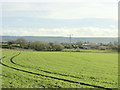 2008 : Fields near Seend Bridge Farm in SN12 6GE