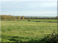 2008 : Pasture north east of Seend Bridge Farm in SN12 6GE