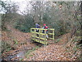 Footbridge, over Crooklake Brook in EX5 5BW