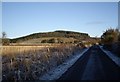 View towards Hill of Brathens in AB31 4DA