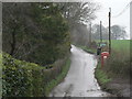 Manswood: phone box in Crichel Lane in BH21 5BA