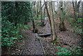 Boardwalk path through Barnetts Wood in TN4 9YD
