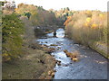 The Avon Water (near  Chatelherault) in ML3 7TU