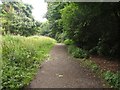 Footpath, Hermitage of Braid in EH9 3HP