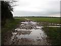 From soggy track to muddy path in NR28 0TF