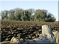 2008 : Ploughed field near Biddestone in SN13 0QE