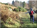 Path at lower end of Haweswater in CA10 2RA
