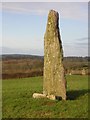 Maen Hir or Standing Stone, Nr. Menai Bridge. in LL59 5RW