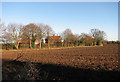 Smee Lane - viewed across field in NR13 5JP
