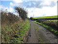 Approaching the junction with the Bodfeddan farm road in LL63 5UP