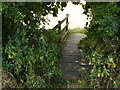 Bridge to the pub at Epperstone in NG14 6AL