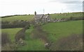 St Peulan's Church and the Friesian herd of Treddolphin in LL65 4ST