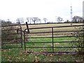 Radio mast near Upton in SP11 0JG