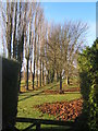 Footpath beyond the church by line of trees in IP7 7SD