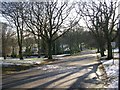 Lister Park - viewed from Emm Lane in BD9 4AS