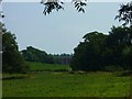 Fields near Ryelands Farm on the Sussex Ouse Valley Way in RH17 6QN