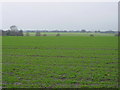 Farmland near Illidge Green in CW11 2ST