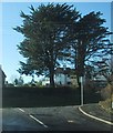 Trees mark the road junction in DT7 3NE