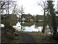 The Pond near Holmwood Station in RH5 4RA