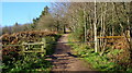 Well worn track up to May Hill. in GL17 0NP